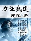 力证武道 小说