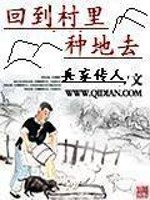 回到村里去种地小说