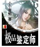 极品鉴定师王晓峰