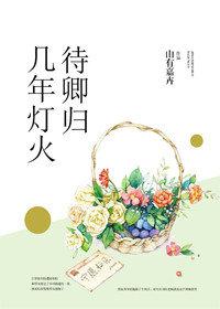 几年灯火待卿归写的什么