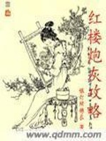 红楼炮灰攻略 百度网盘