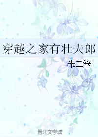 穿越之家有壮夫郎类似小说小红书免费阅读
