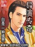 我的导演时代