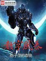 数字风暴公司