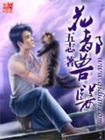 花都兽医小说免费阅读