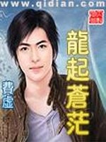 龙起苍茫无错小说