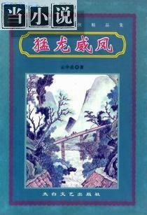 猛龙威凤云中岳