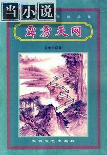 霹雳天网系列3、特等高手 云中岳