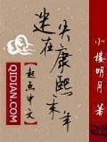 迷失在康熙末年百度云