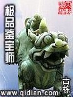 极品鉴宝师沧海一笑TXT下载