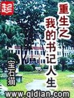 重生之我的书记人生后记