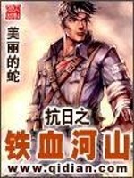 抗日之铁血河山TXT下载