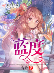 蓝度篷布