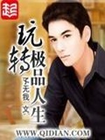 玩转极品人生2k小说网