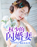 顾少的闪婚妻电视剧