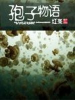 孢子物语小说