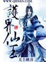 护界仙王 小说