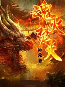 焚天魂主女主角有几个