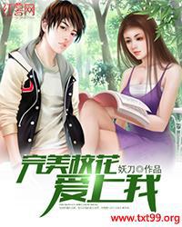 完美校花爱上我在线观看