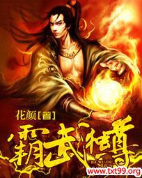 霸武独尊 小说