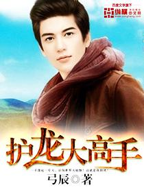 护龙大高手 小说
