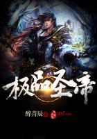 极品圣医 小说