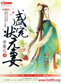 盛宠全文阅读