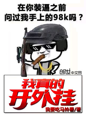 我真开挂了 小说