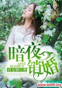 暗夜销婚轻抚她宠坏她男主是谁