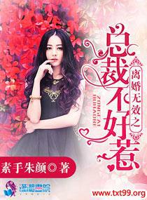 离婚无效,总裁前夫太狂野