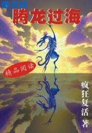 腾龙过海 聚合中文网