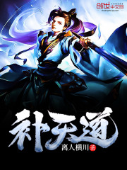 补天道道主什么境界