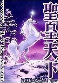 圣皇子天皇子