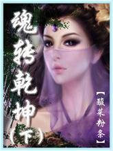 九转乾坤图片及价格