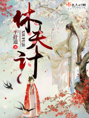 休夫计 小说