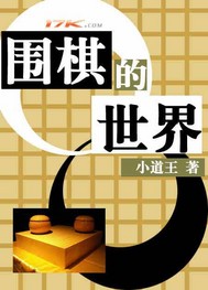 围棋的世界小说