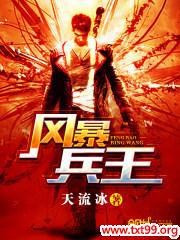 风暴兵王小说