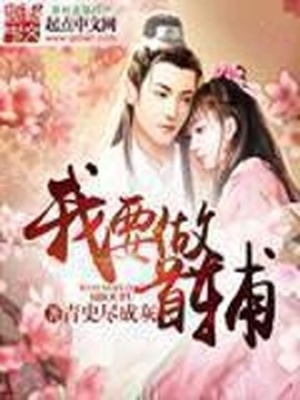 我要做首辅TXT下载精校