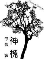 神槐在哪里