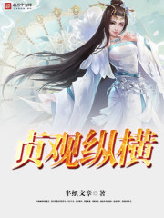贞观纵横 小说