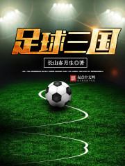 足球三国找出图中不合理的地方