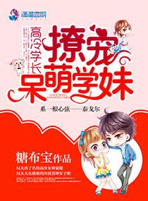 高冷学长太难追,小说