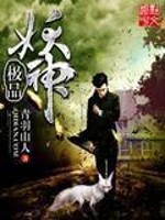 极品神公这本书