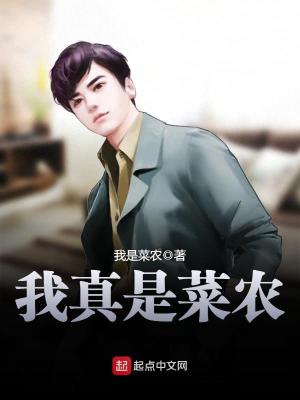 我真是菜农TXT下载
