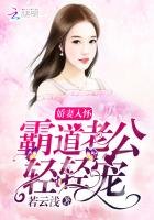 娇妻入怀:霸道老公,轻轻宠免费阅读