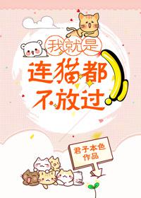 你居然连猫都不放过
