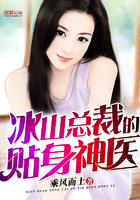 冰山总裁的贴身神医TXT下载