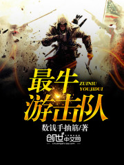 最牛游击队小说