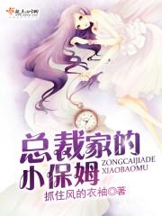 总裁和小保姆电视剧