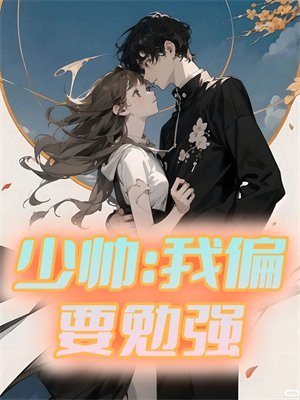 少帅:我偏要勉强